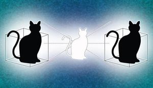 Il doppio gatto di Schrödinger