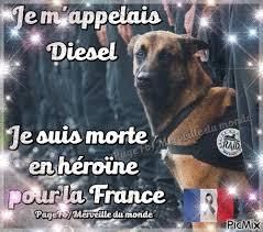 Sa bravoure n'a d'égale que le nombre de morts évités.