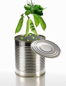 ALIMENTOS TÓXICOS - 02