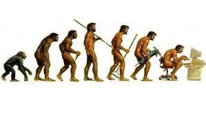 COMIDA Y EVOLUCIÓN