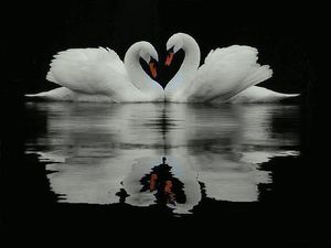CHI SIAMO