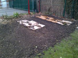 ça a commencé comme ça.. Expérience de culture sur buttes et création de lasagnes!