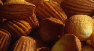 les madeleines