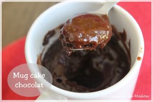 Mud cakes