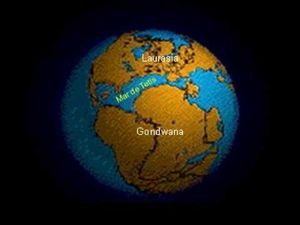 Deriva continental