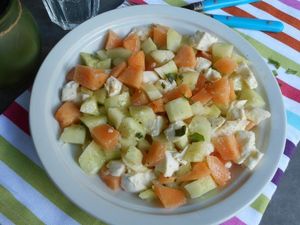SALADE fraîche concombre melon mozzarella