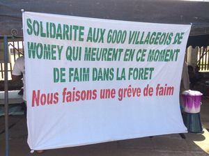 Drame de Womey, grève de la faim et enfin démilitarisation : « Pourquoi faut-il toujours attendre qu’on mette le « feu » là où il faut comme une tortue, pour que les autorités reviennent à la raison ?