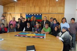Mapuches anticipan que impugnarán ley petrolera si no hay consulta previa.