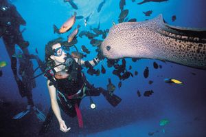 Activités nautiques à l’île Maurice