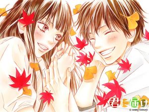Kimi no todoke