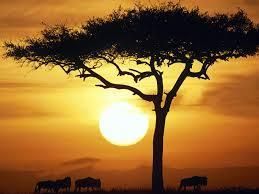Beautés et drames du Continent africain.