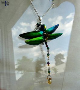 Fly me to the Moon - Collier romantique Libellule aux ailes en élytre de scarabée montée sur médaillon à secret