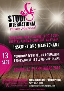 Auditions Formation Professionnelle 2014 Théâtre Comédie Musicale Cinéma