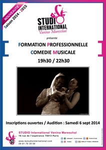 Audition Formation Professionnelle Comédie Musicale - Saison 2014-2015