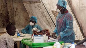 Le sommet de Conakry réunissant les trois pays touchés, Guinée, Liberia et Sierra Leone, ainsi que la Côte d'Ivoire et l'OMS, permettra de lancer un plan de lutte contre la fièvre hémorragique qui a fait plus de 700 morts