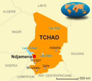 Lequel des caïmans pour le marigot tchadien ?