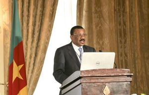 Le Cameroun lance la phase II du projet d’électrification rurale