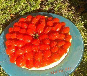 Tarte mascarpone et tomates cerises