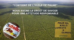 VICTOIRE DES ONG : LA MENTION "HUILE DE PALME" APPARAÎTRA SUR L'ÉTIQUETAGE DÈS FIN 2014
