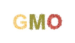Les OGM « sans danger » : une conclusion abusive !