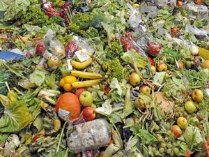Le gaspillage des aliments en France