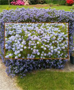 Qui a tué nos abeilles?