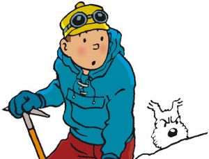RETROUVEZ LES AVENTURES DE TINTIN SUR DBPASSION DAKAR