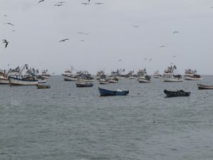 PESCADORES DE MI PUEBLO.SIENTO ORGULLO DE ELLOS