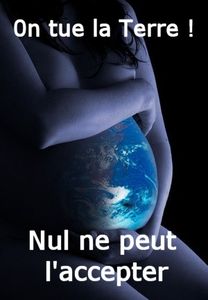 L’écologie naufragée
