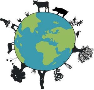 ★ Décroissance et végétarisme