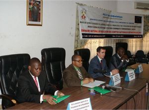 Atelier de présentation des comptes nationaux définitifs 2010