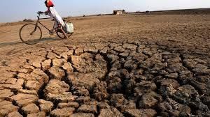CLIMAT NETWORK ACTION « Décarbonner davantage la planète pour une prospérité pérenne