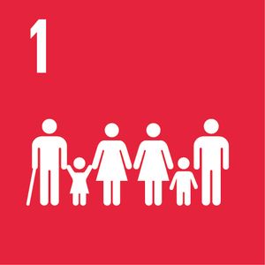 Objectifs de développement durable (ODD)