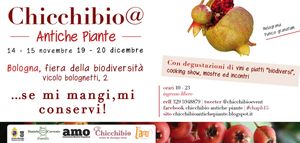 chicchibio antiche piante a vicolo bolognetti #chapb15