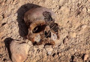 Un crâne retrouvé dans une fosse commune contenant des membres de la communauté yazidie tués par le groupe Etat islamique, le 3 février 2015, près du village irakine de Sinuni, dans la région du Sinjar