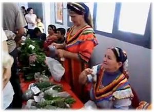 La médecine traditionnelle kabyle