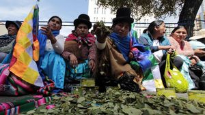 A La Paz, des femmes productrices de coca mastiquent la feuille sacrée devant l'ambassade des Etats-Unis, le mercredi 12 mars 2014