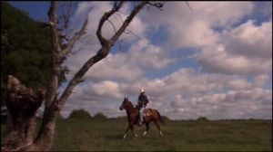 "Et puis ça permet de montrer que j'ai un ranch, des chevaux et des hectares de terrain, tchô les minables !"