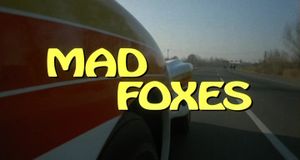 Mad Foxes