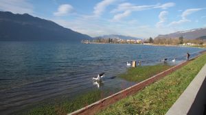 La promenade au fil de l'eau livrée aux cygnes