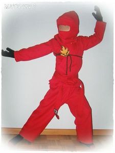 le déguisement Ninjago