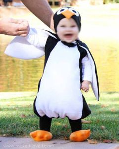 Un costume de pingouin
