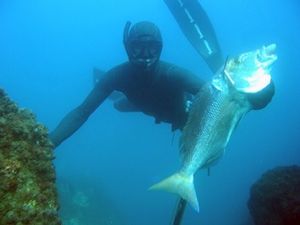 Chasse sous-marine