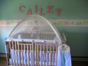 These are the characteristics I used when hunting for a good crib