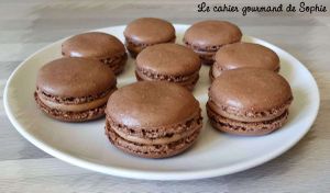 Macarons menthe chocolat