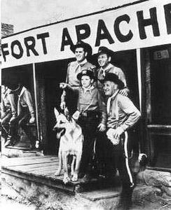 RIN TIN TIN