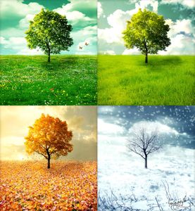 Au rythme des saisons