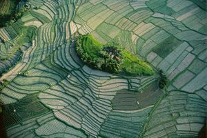 Raconte-moi une terre pour demain de Yann Arthus-Bertrand