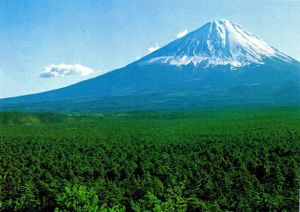 Aokigahara, la forêt du suicide