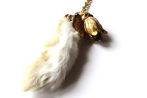 Pattes de lapin